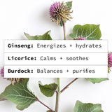 Botanical Cleansing Gel