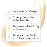Essential Moisturizer