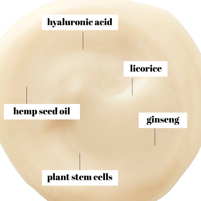 Essential Moisturizer Mini